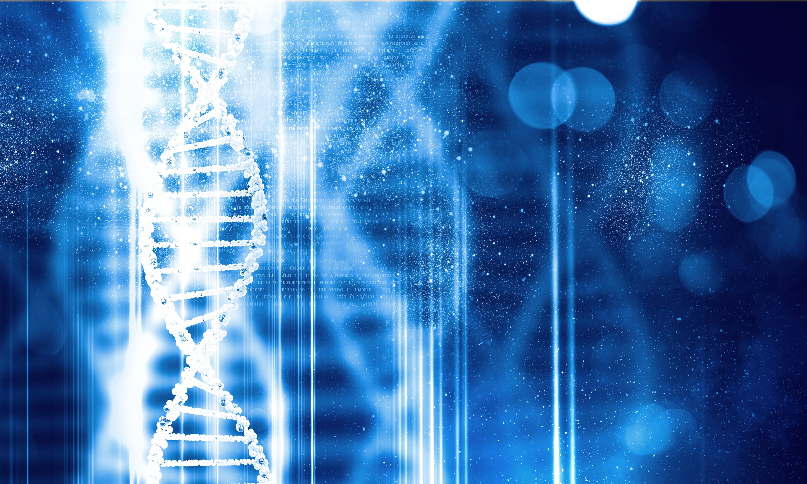 Molecular Features Predict Prognosis In Her2 Positive Breast Cancer 45016981 M